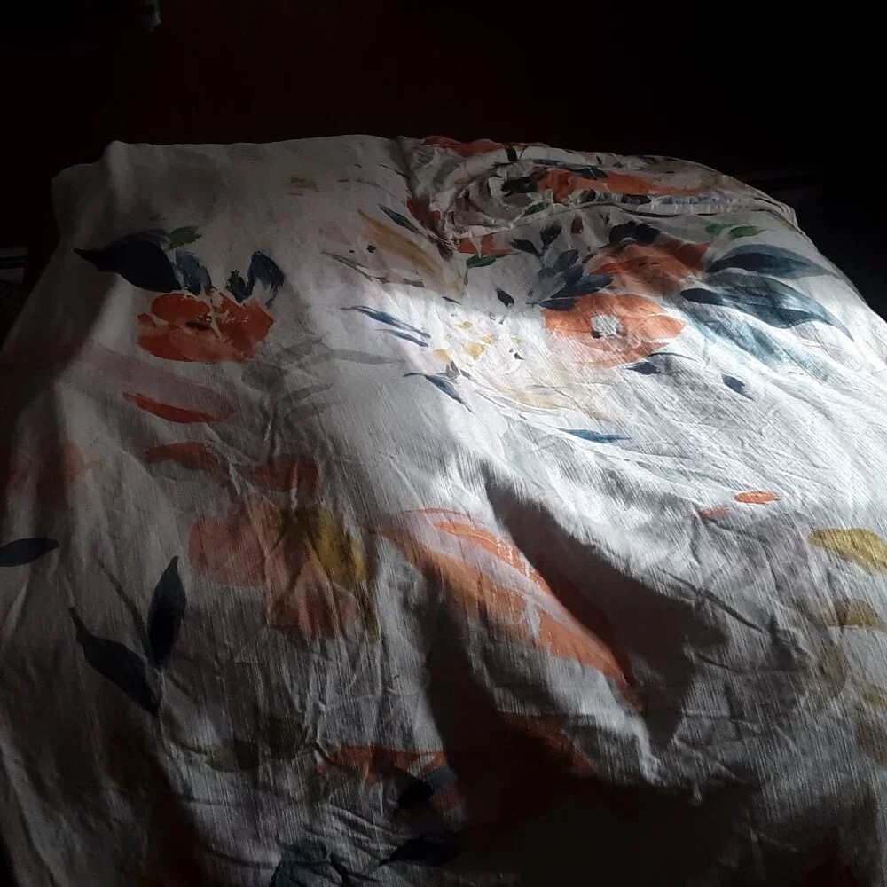 Anthropologie Botanical Queen Duvet Cover Set. Duvet Cover PLUS 2 Euro Shams